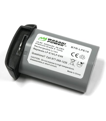 Amazon.com : DSTE Replacement for LP-E4N Li-ion Battery Compatible
