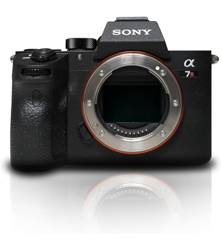 Amazon.com : Sony Alpha a7R III Mirrorless Digital Camera (Body