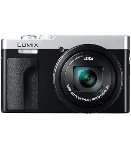 Amazon.com : Panasonic LUMIX TZ/ZS99 Point and Shoot Camera