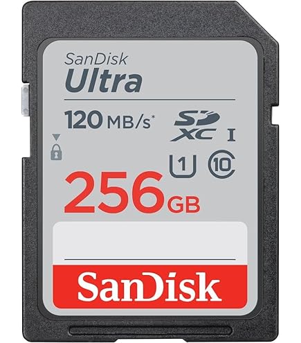 Amazon.com: SanDisk SD Ultra 256GB Memory Card for Camera