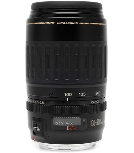 Amazon.com : Canon 100mm F2.8 Macro USM AF Lens : Camera Lenses