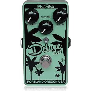 Electro Harmonix Cathedral - 8種類のリバーブ・サウンドを搭載した多