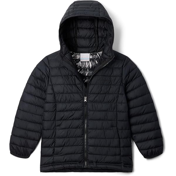 Amazon.com: Columbia Youth Unisex Puffect Hooded Jacket, Black, X