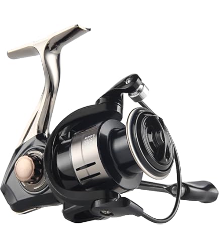Daiwa FC LT2500S Spinning Reel 25CALDIA : Amazon.ca: Sports & Outdoors