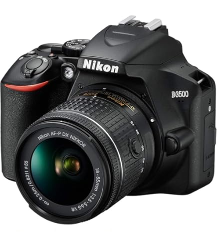 Amazon.com : Nikon D5600 Digital SLR Camera & 18-55mm VR DX AF-P