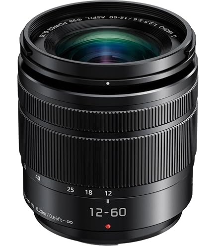 Amazon.com : Panasonic LUMIX G VARIO 14-45mm/F3.5-5.6 ASPH./MEGA
