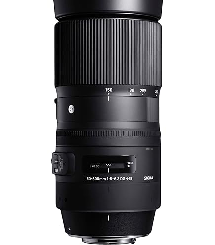 Amazon.com : Sigma 150-500mm f/5-6.3 AF APO DG OS HSM Telephoto