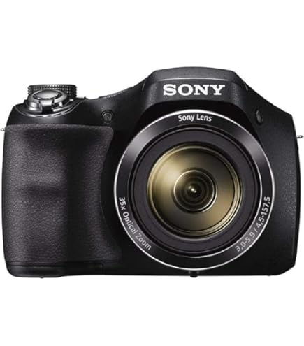 Amazon.com : Sony Cyber-Shot DSC-HX100V 16.2 MP Exmor R CMOS