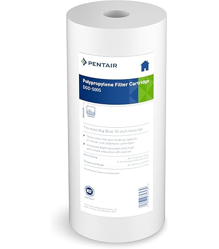 Pentek 150469 3/4-Inch 10-Inch Big Blue Filter Housing : Amazon.ca