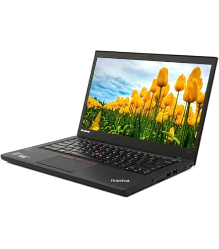 Amazon.com: Lenovo 20HN001NUS ThinkPad X270 Intel i7-7600U 3.9 GHz