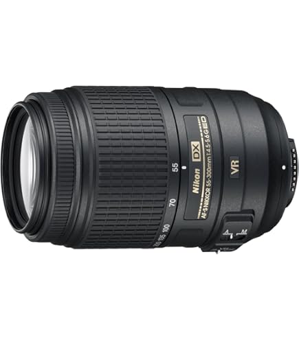 Amazon.com : Nikon 300mm f/4E PF VR AF-S ED-IF Telephoto Nikkor