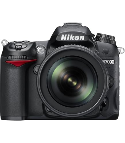 Amazon.com : Nikon D7100 24.1 MP DX-Format CMOS Digital SLR Camera