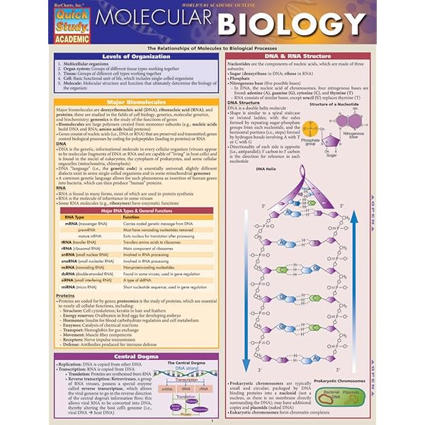 Biology 2 (Quick Study Academic): BarCharts, Inc.: 9781572228269