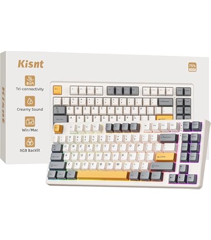 Amazon.com: PFU HHKB Professional Hybrid PD-KB800B : Electronics