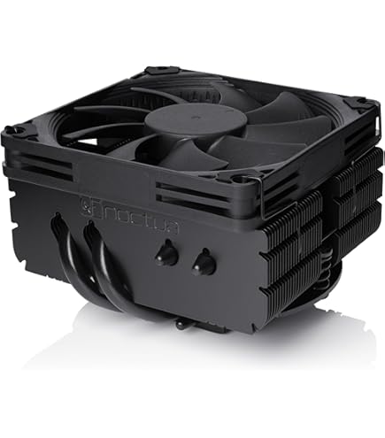 Amazon.com: Noctua NH-L9a-AM5 chromax.Black, Premium Low-Profile