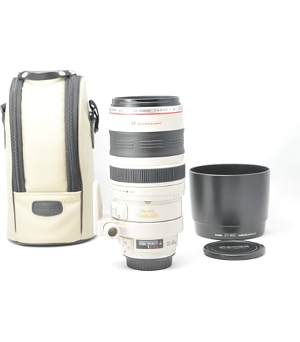 Amazon.com : Canon EF 100-400mm f/4.5-5.6L IS USM Telephoto Zoom