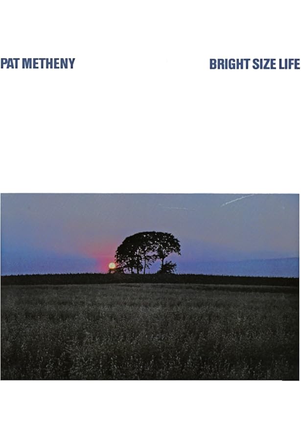 80/81 [Vinyl] - Amazon.com Music