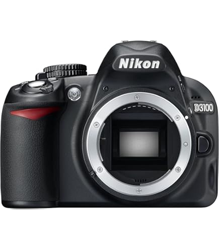 Amazon.com : Nikon D5300 Digital SLR Camera Body (Grey) (Renewed