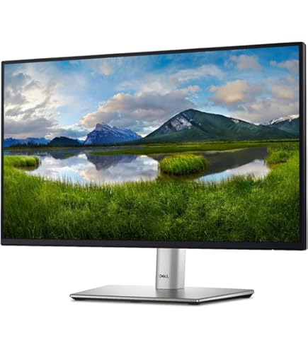 Amazon.com: Dell S2421HN 24 Inch Full HD 1080p (1920 x 1080) 75Hz