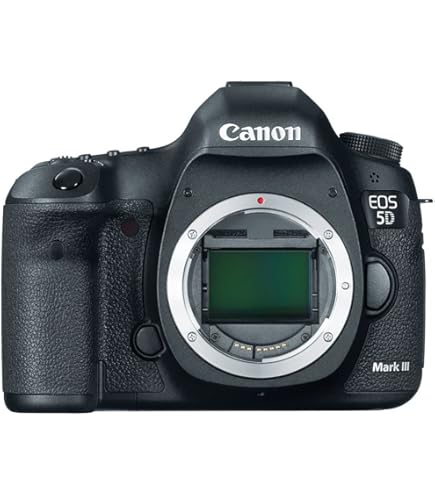 Amazon.com : Canon EOS 5D Mark II 21.1MP Full Frame CMOS Digital