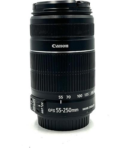 Amazon.com : Canon EF-S 55-250mm f/4-5.6 IS STM Telephoto Zoom