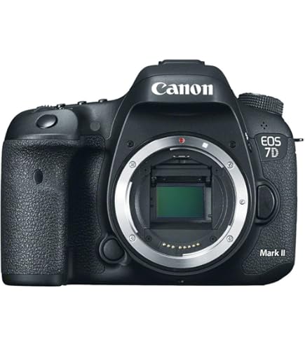 Amazon.com : Used Canon EOS 7D Digital SLR Body : Digital Slr