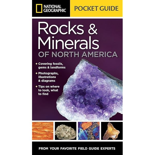 Collecting Fluorescent Minerals by Stuart L Schneider (2007-07-01