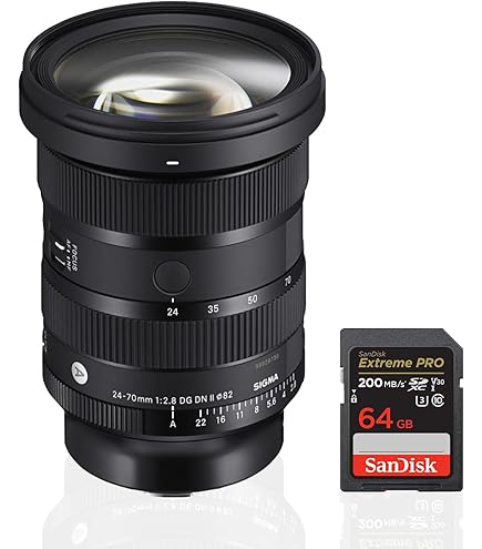 Amazon.com : Panasonic Lumix Lumix S 24-105mm F4 Macro O.I.S.