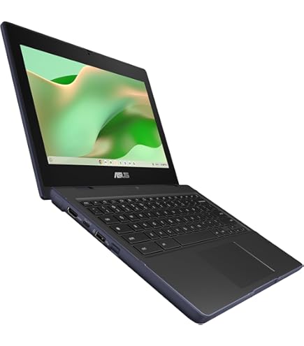 ASUS Chromebook Flip CR1 CR1100FKA-YZ144T - 11.6