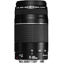 Canon EF 75-300mm f/4-5.6 III Telephoto Zoom Lens for Canon SLR