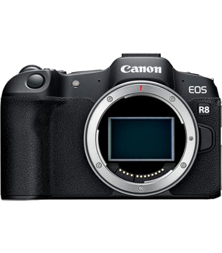 Amazon.com : Canon EOS RP Full Frame Mirrorless Vlogging Portable
