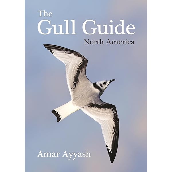 Gulls of Europe@ Asia and North America (Helm Identification