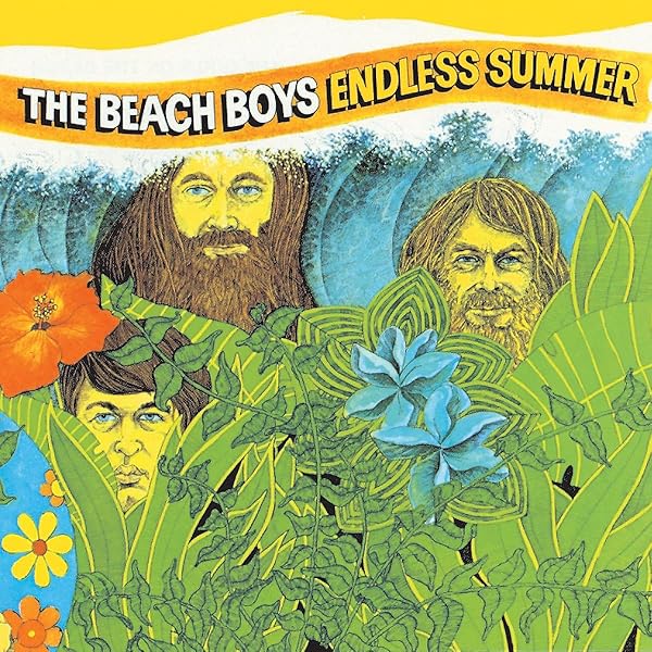 The Beach Boys - Endless Summer [Vinyl] - Amazon.com Music