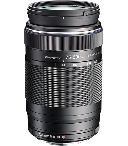 Amazon.com : Olympus M.Zuiko Digital 75-300mm F4.8-6.7 for Micro