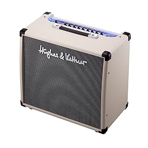 CARVIN Vintage16【Supernice!ギターアンプ】