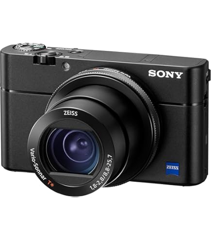 Amazon.com : Sony RX100 II 20.2 MP Premium Compact Digital Camera
