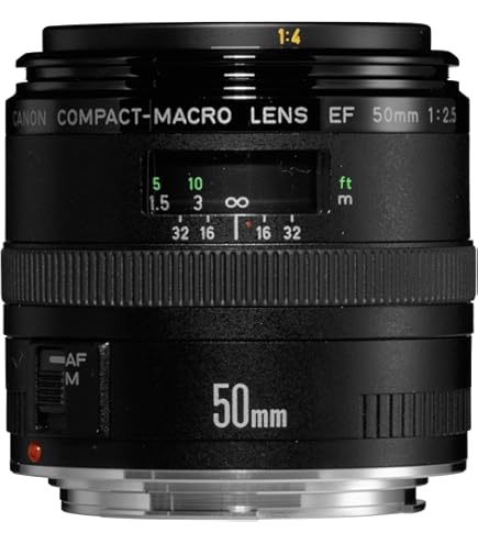 Amazon.com : Canon Life Size Converter EF Macro Lens : Camera