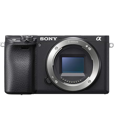 Amazon.com : Sony DSCS75 Cyber-shot 3MP Digital Camera w/ 3x