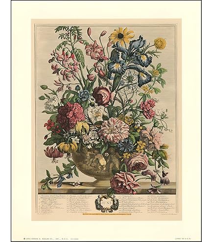 Amazon.com: Robert Furber - Twelve Months of Flowers 1730/June Art