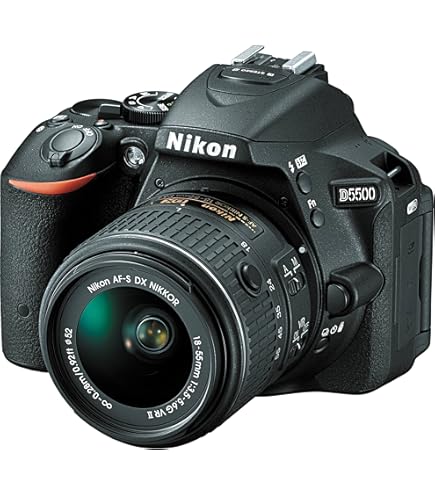 Amazon.com : Nikon D5300 24.2 MP CMOS Digital SLR Camera with
