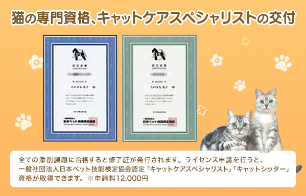 通信】キャットケアスペシャリスト講座 | ヒューマンアカデミー（通信