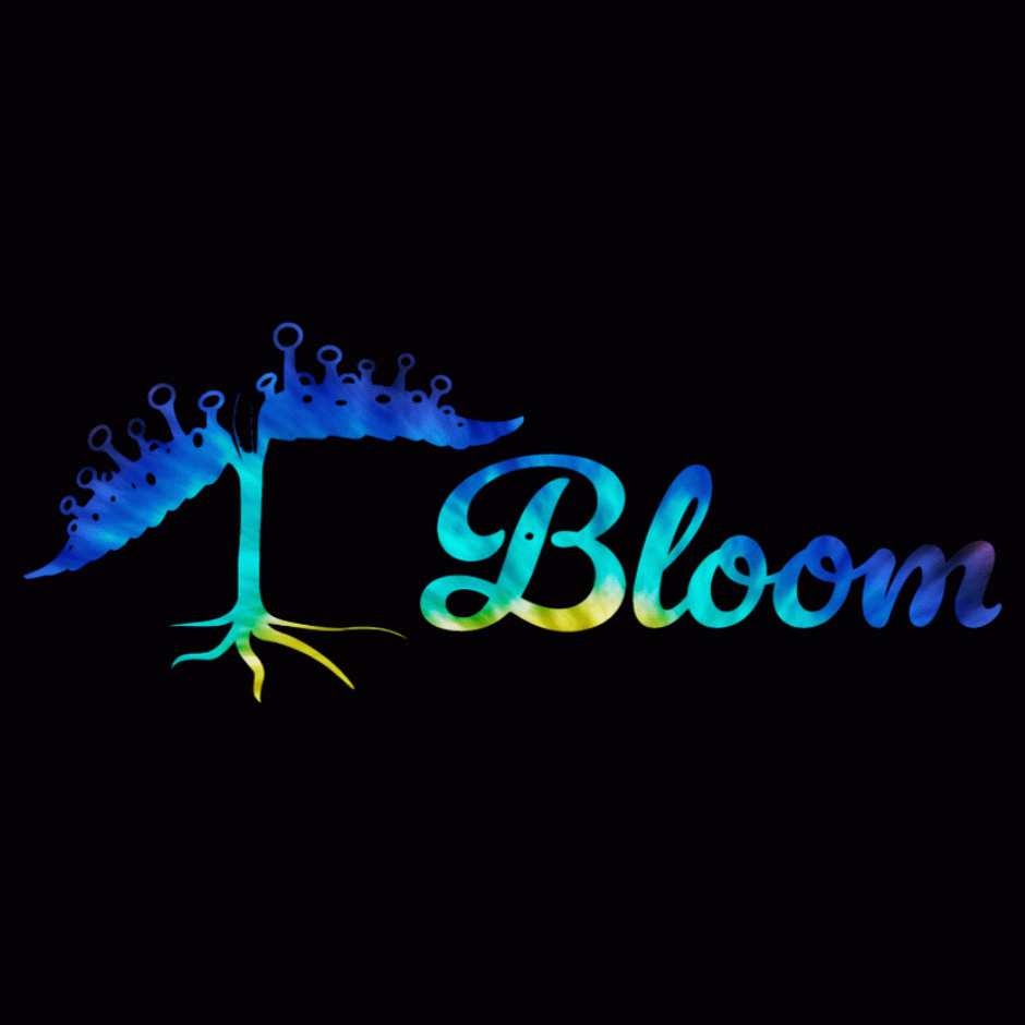 Cranberry Z x TMZ – Bloom Seeds
