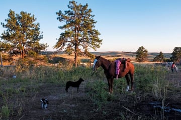 Buzzing at the Sill: Gazing Into America's Dark Future