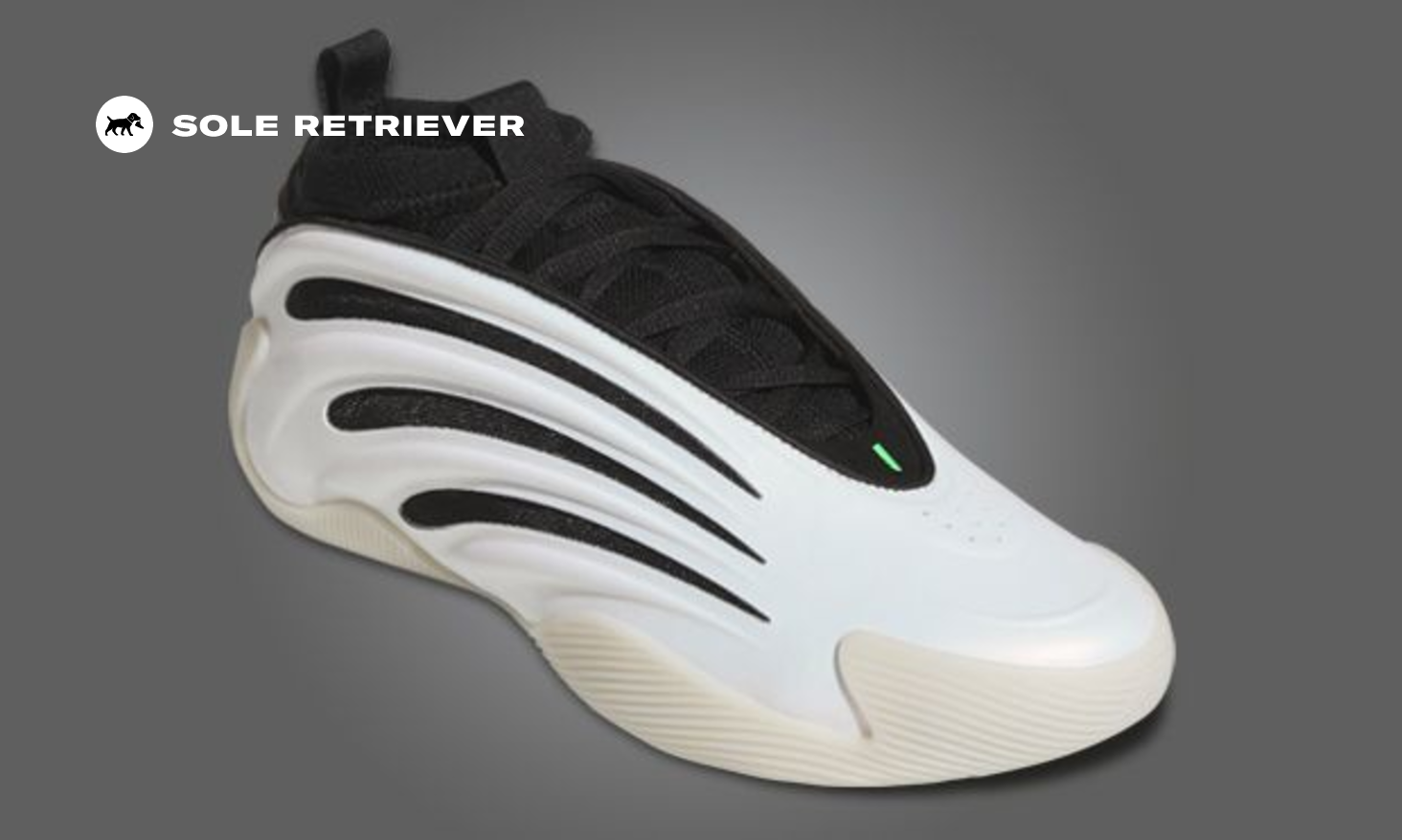 The adidas Harden Vol. 9 Pearlized Releases February 2025