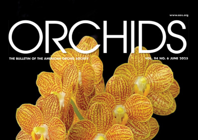 Chikanda Orchids. Conservation in the Highlands of Southern