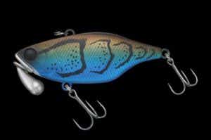 TNトリゴンで冬のディープを攻略！50/60/70の使い方を解説 | TSURI