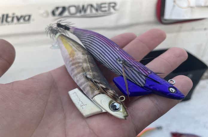 おすすめのティップラン専用エギ10選！追加シンカーもセットで紹介