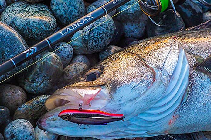 進化した『ラブラックス AGS』が凄い！ 強く・シャープになった人気