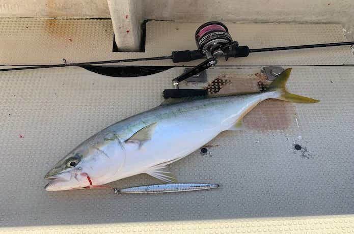 ヴァデルSJを実釣インプレ。1万円台で買えるスロー竿の実力とは