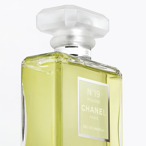 N°19 POUDRÉ Eau de Parfum Spray (EDP) - 3.4 FL. OZ. | CHANEL